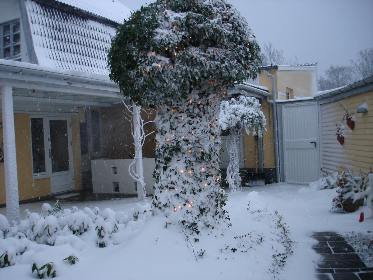 Strandidyl Bed And Breakfast Kelstrup Eksteriør bilde